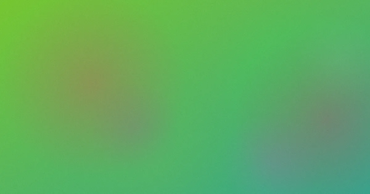 海洋之星怎么选不踩坑